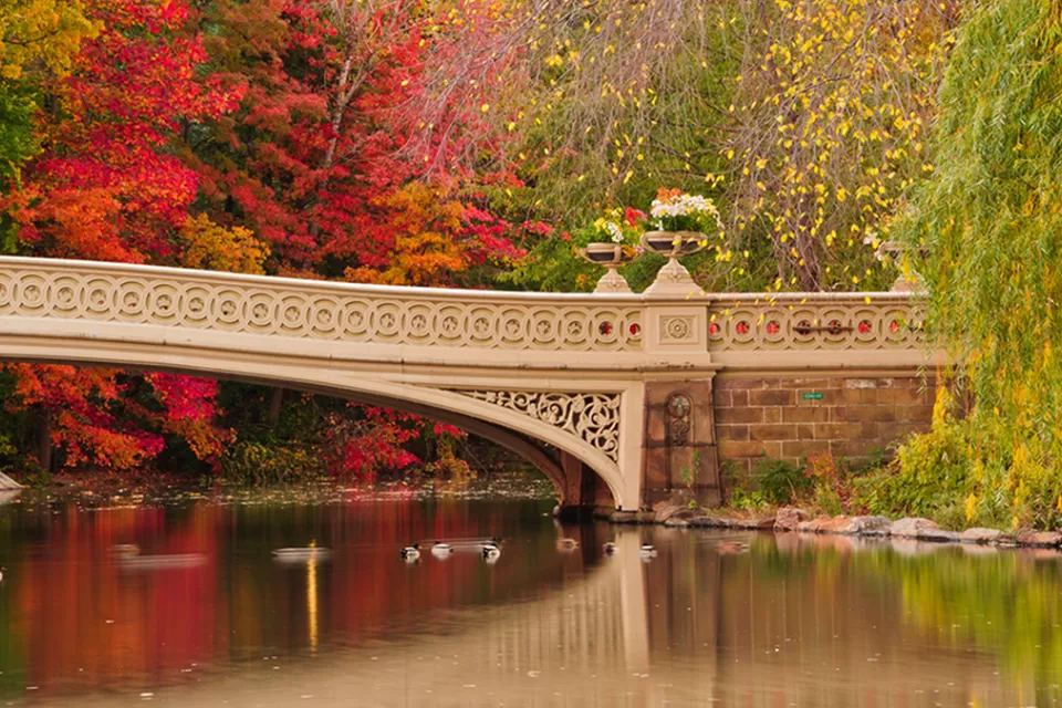 Central Park The Lake